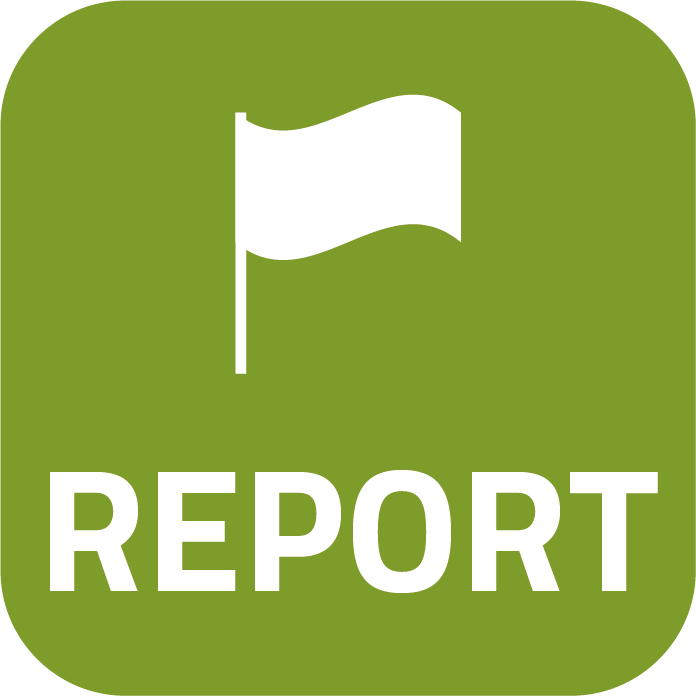 Report
